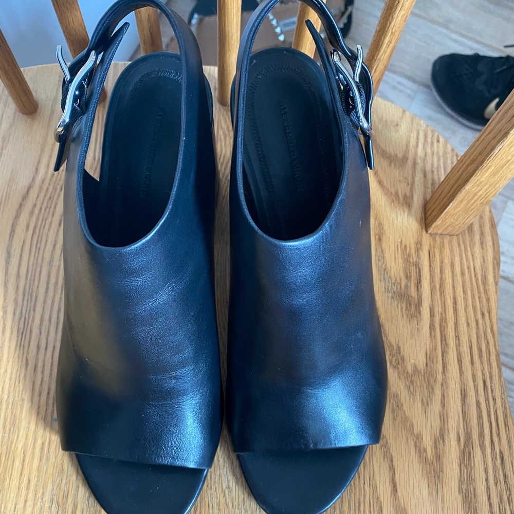 Alexander Wang Booties